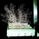 Illustration for article titled The First Space Flower Bloomed Decades Ago, Not This Week